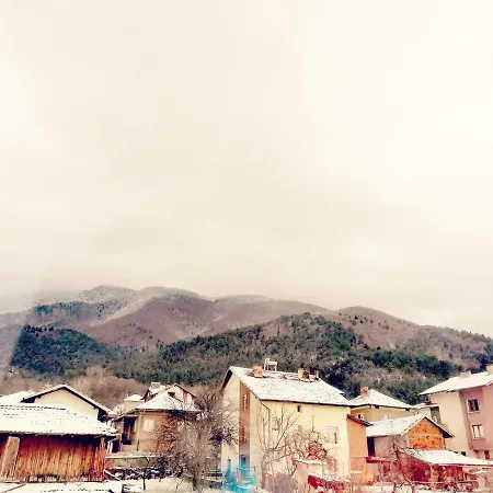 Daiv