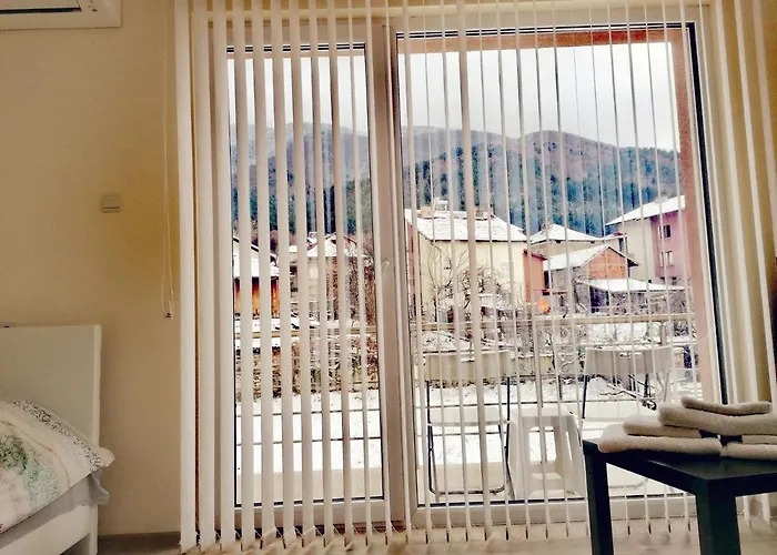 ゲストハウス Daiv サパレヴァ・バニャ